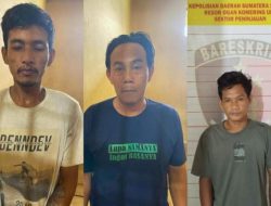 3 Pencuri Sawit Milik Pemdes Di Kecamatan Peninjauan OKU Diamankan Polisi